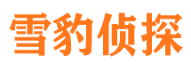 乌恰侦探公司